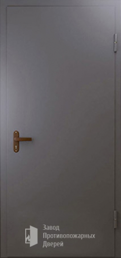 Фото двери «Техническая дверь №1 однопольная» в Омску