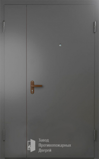 Фото двери «Техническая дверь №6 полуторная» в Омску